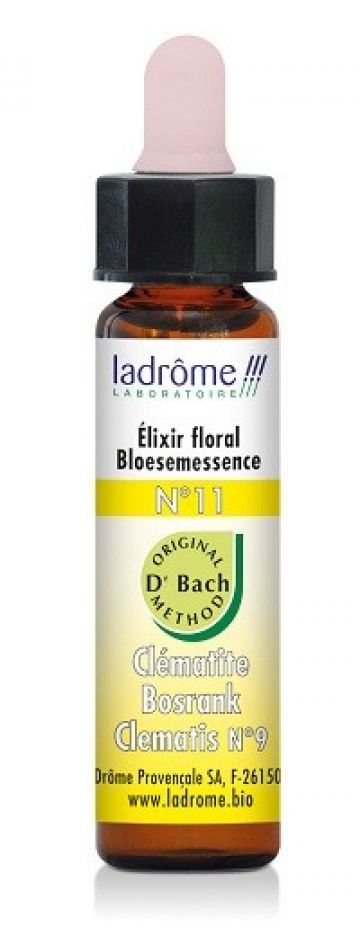 Bach bosrank 10ml Ladrome