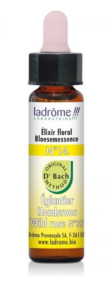 Bach hondsroos 10ml Ladrome