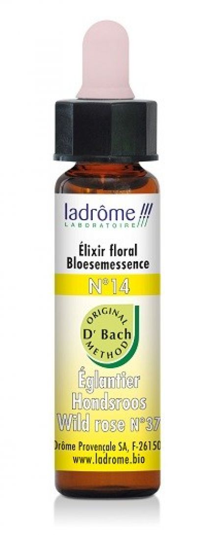 Bach hondsroos 10ml Ladrome