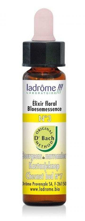 Bach kastanjeknop 10ml Ladrome