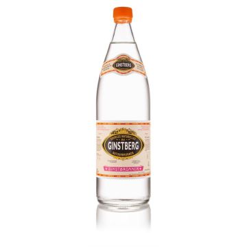 Mineraalwater Bruis 1L Ginstberg